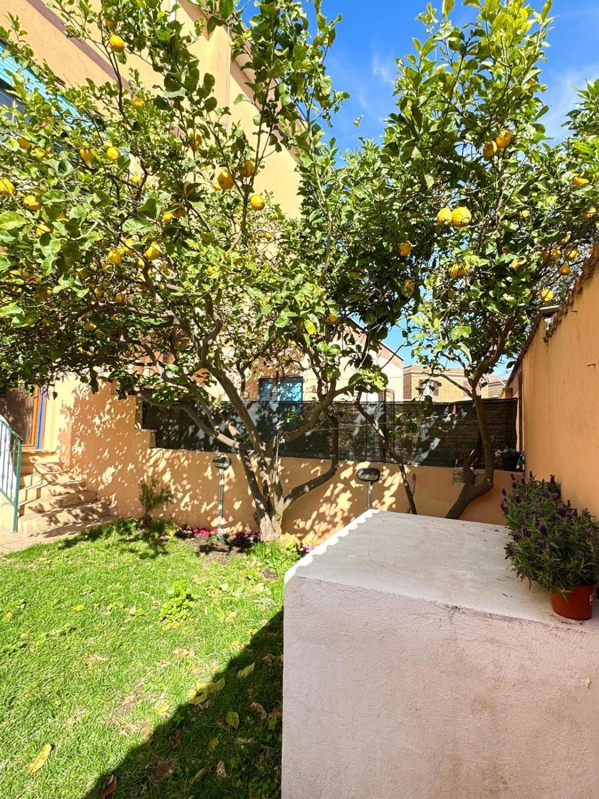 Mareporto House Apartment Fiumicino Exterior photo